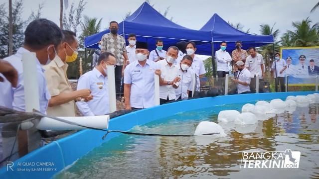 Doc Bangka Belitung Terkini
