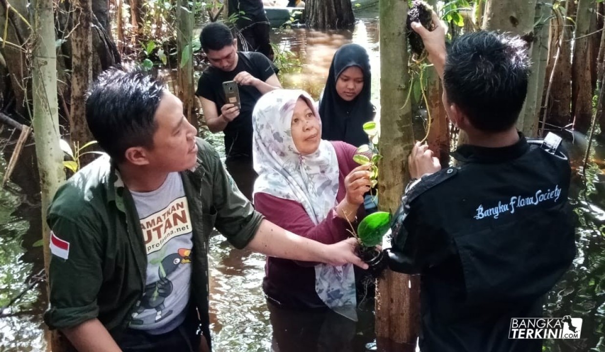 Dalam rangka memperingati Hari Lingkungan Hidup Sedunia, Puluhan penggiat lingkungan yang terdiri dari Bangka Flora Society (BFS) dan Salam Alam (Salam) Upang gelar serangkaian kegiatan di kawasan wisata Biodiversity Sungai Upang Desa Tanah Bawah Kecamatan Puding Besar, Kabupaten Bangka, Minggu (16/06/2019).
