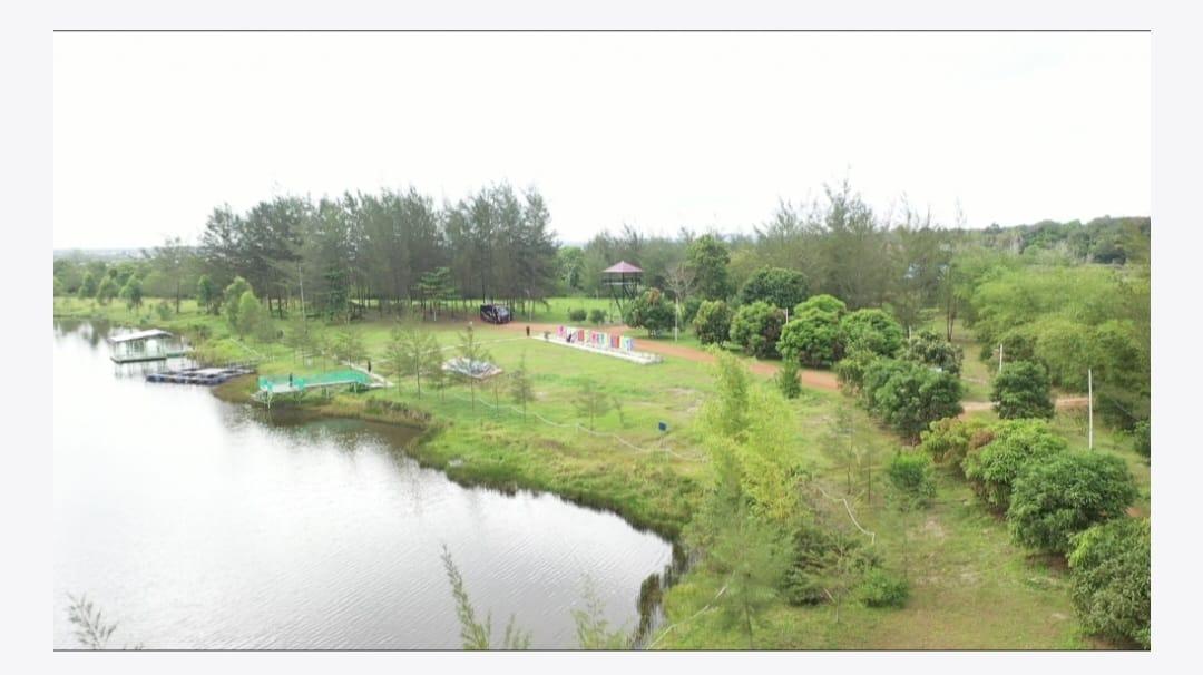 Kuartal III Tahun 2023 PT Timah Tbk Telah Reklamasi 273,3 Hektar Lahan Bekas Tambang