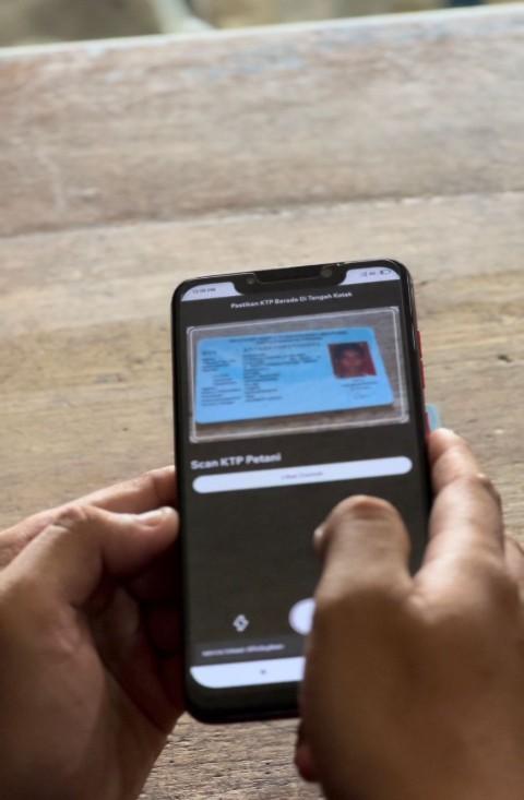 Lebih Mudah, Petani Babel Cukup Tunjukkan KTP Tebus Pupus Bersubsidi