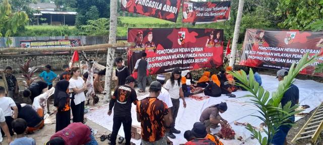 MPW Pemuda Pancasila Babel Kembali Potong Hewan Qurban Idul Adha 1446 H