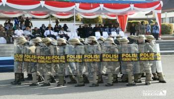 Kita akan mengenalkan Pol PP kepada masyarakat, pasalnya selama ini,