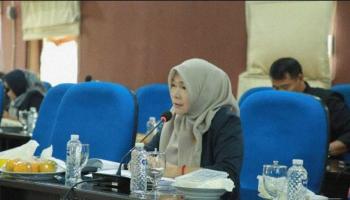 Ini Kata Anggota DPRD Babel Terkait Isu Sejumlah Dokter Sebagai ASN Undurkan Diri