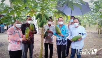 PENULIS ILHAM FEBRY, BANGKA BELITUNG TERKINI - BANGKA TENGAH -,