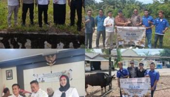 BANGKA SELATAN, BANGKATERKINI - Selama 13 tahun Sumbangkan Sapi Qurban, Leo : ini Bukti Komitmen PT MBR ke Masyarakat