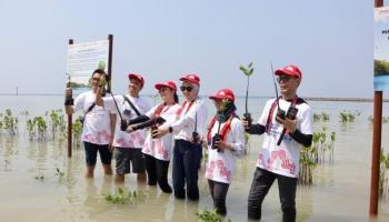 Tanam Ribuan Pohon, AHM Perkuat Upaya Penyerapan Karbon untuk Mitigasi,