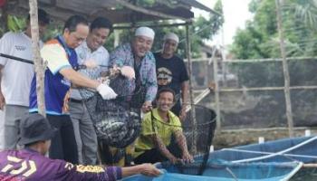 BANGKA TENGAH, BANGKATERKINI - Pemerintah Kabupaten Bangka Tengah (Bateng) melalui Dinas Perikanan menggelar panen bersama,