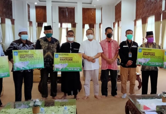 Pemkab Bangka Tengah Serahkan 58 ekor Sapi ke desa di Bangka Tengah, Senin (19/07/2021)